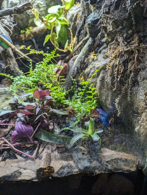 Norristown Zoological Society