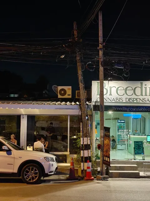 Chiang Mai Panda Hostel