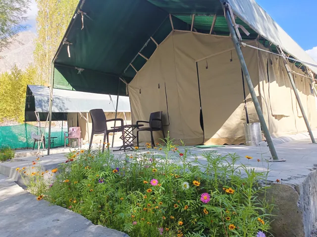 The brook camp hunder