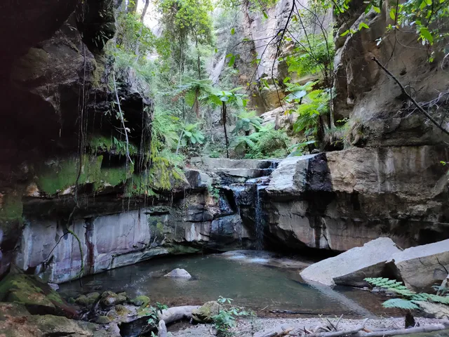 Carnarvon Gorge Park