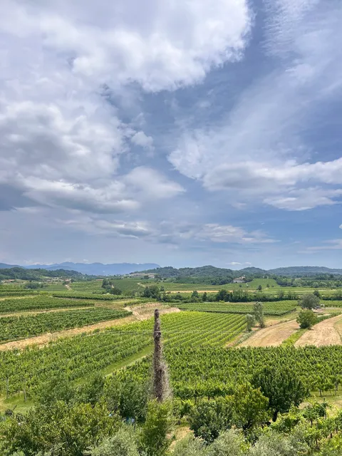 Zoi Apartments -ZOI Turizem Luka Tomšič s.p