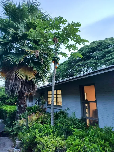 Diamond Head Bed & Breakfast