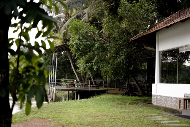 Johny Moose Backwater Farm