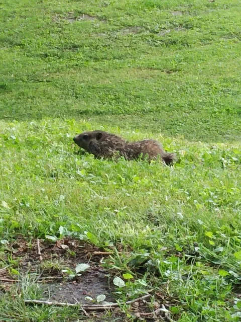 RV Park at Riverview, Ridley Rentals LLC