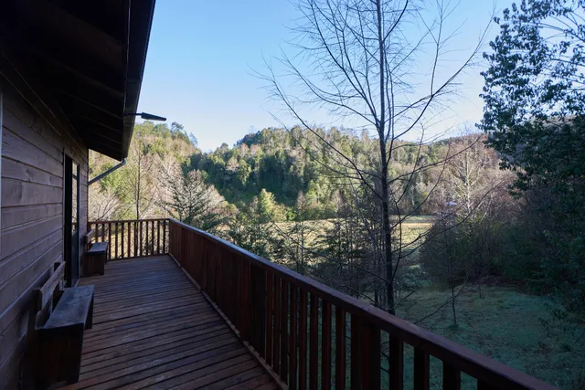 Entre Pampa y Bosque