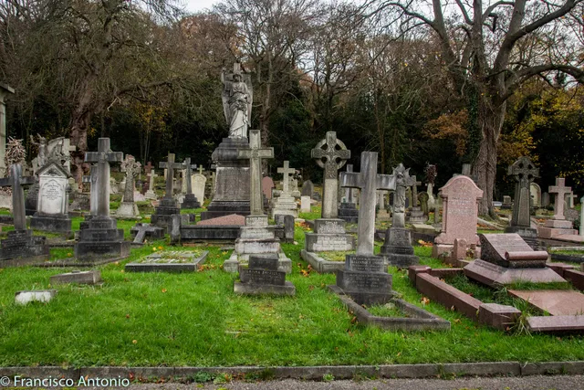 Putney Vale Cemetery