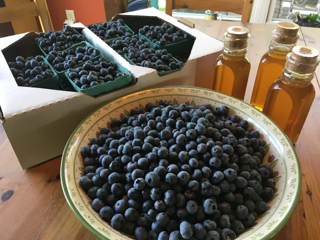 Halfway Acres (Organic Blueberries Reservation U-Pick )