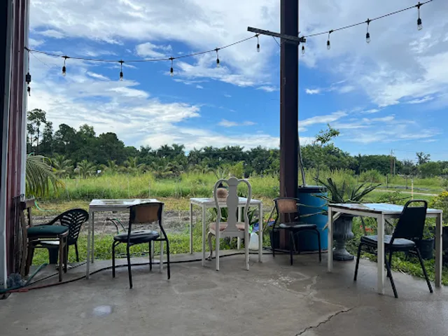 The Vegan Restaurants