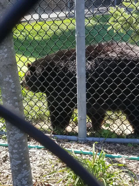 Holtsville animal park