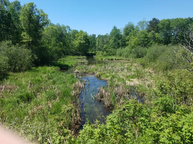 Paul Bunyan Trail Access