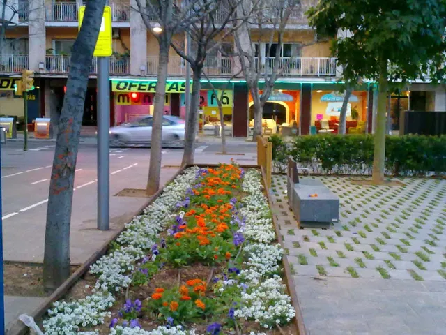 Mundisofá - Sofas Mallorca