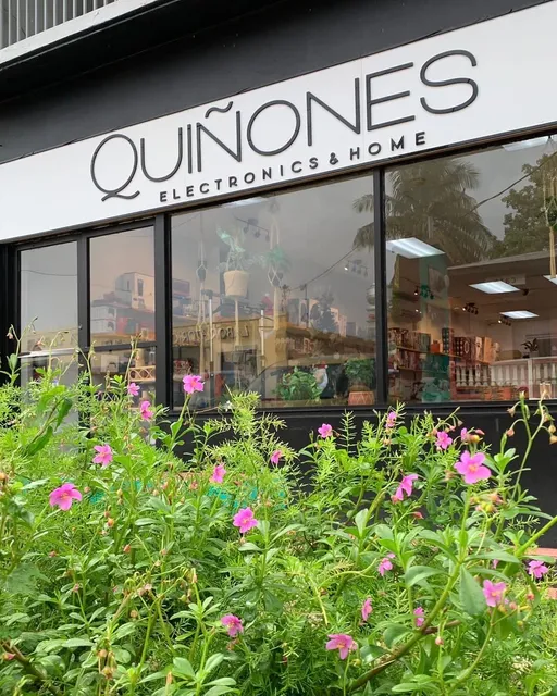 Quiñones Electronics