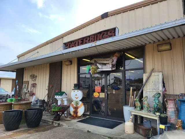 Taterbugs Antiques