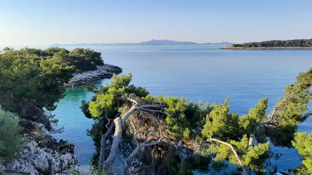 KOĆA,Apartmani Franica