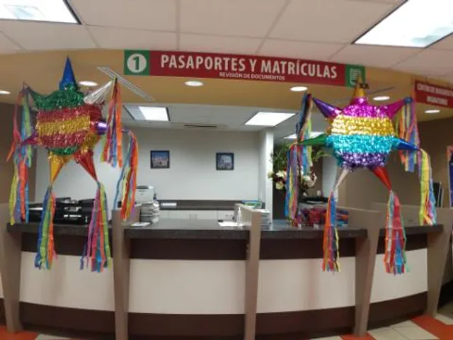 The Piñata Factory, LLC