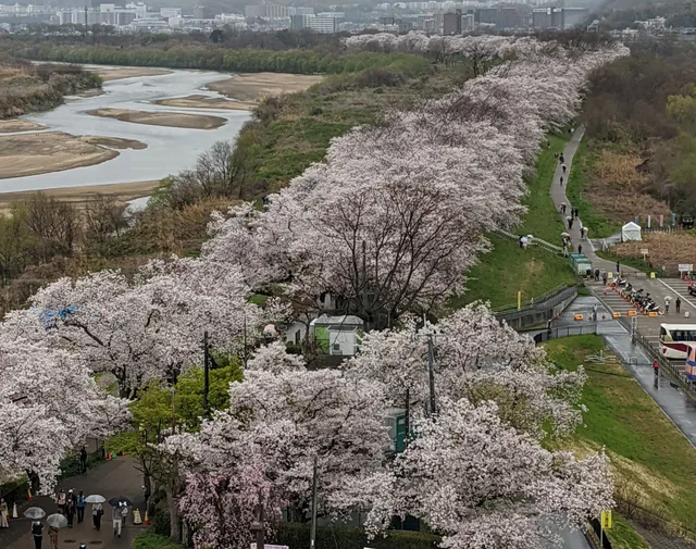 Sakura Deai Hall Watchtower