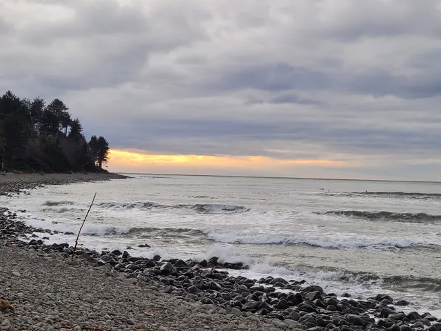 The Cove - Surfers Watch