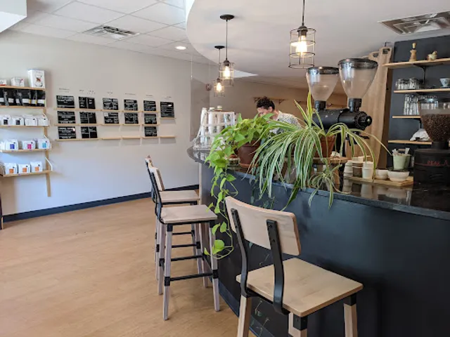 Onyx Tonics Specialty Coffee