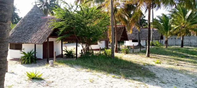 Funky Squids Beach Resort