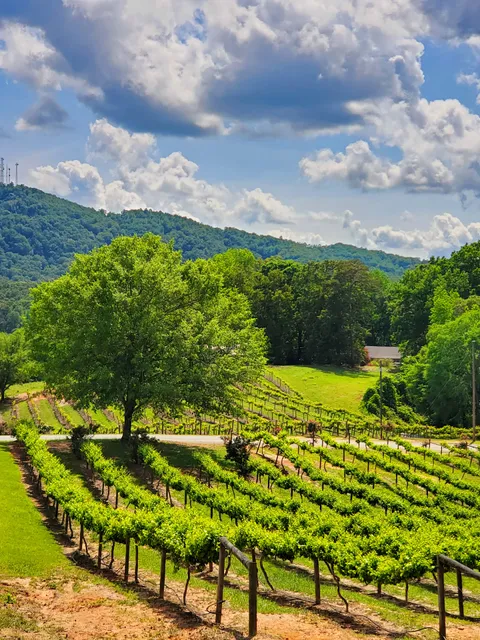 Currahee Vineyard & Winery