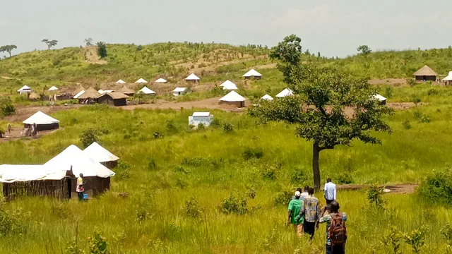Rhino camp