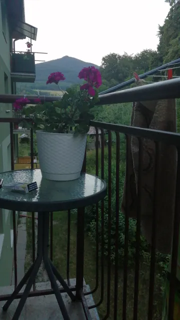 Hui Kū Maoli Ola Native Hawaiian Plant Specialists