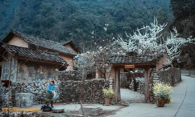 Mai's Homestay- Dong van old quarter hotel