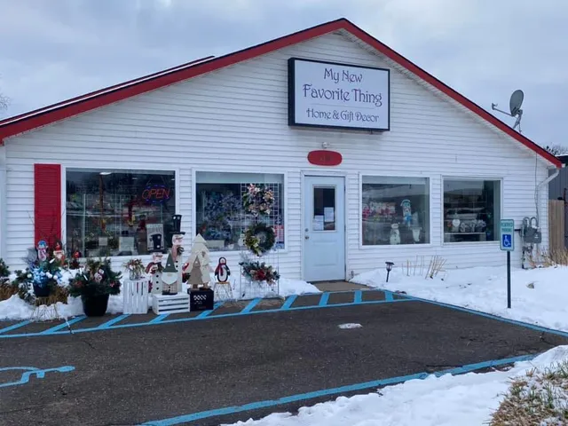 My New Favorite Thing