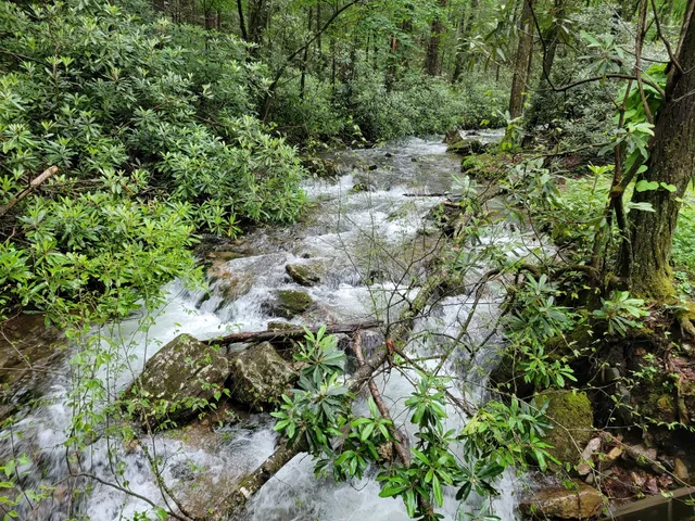 Rock Creek Falls Hiking Trail