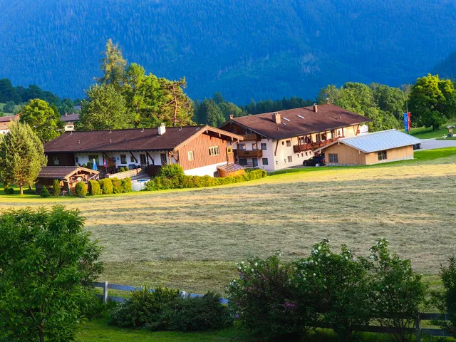 Cottage on the edge of the forest
