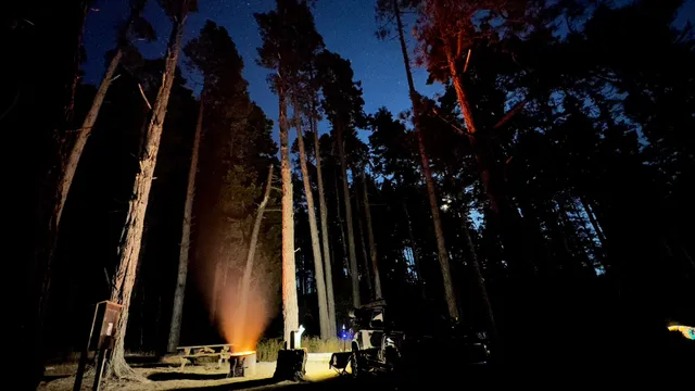 Van Damme State Park Campground