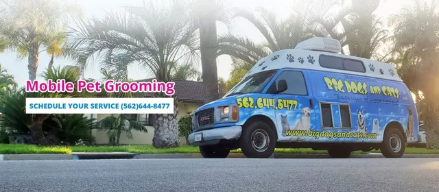 Big dogs and cats - Love's pet grooming