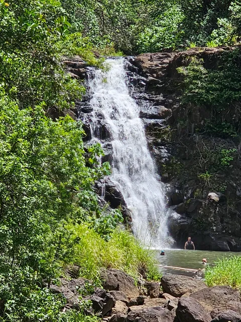 North Shore Beach Bus