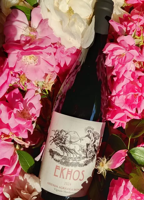 Monfrà - azienda vitivinicola