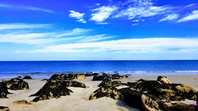 Cape Cod Slush and Ice Cream Co.