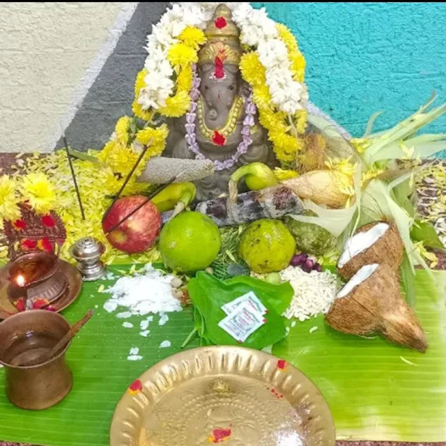 A2pa MULTICUISINE RESTAURANT