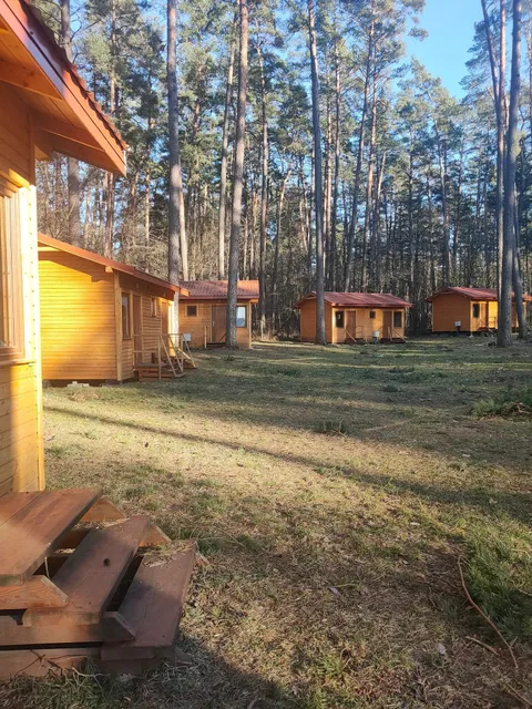 Campsite. Pod Sosnami