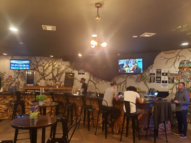 Miami Kava & Coffee - Magic City