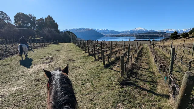 Waterfall Equestrian Centre
