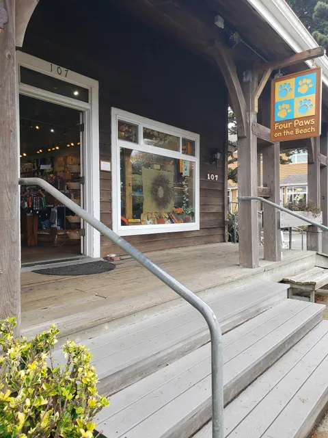 Four Paws on the Beach