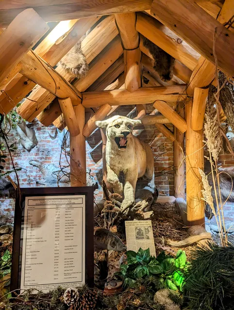 Willow Point Gallery