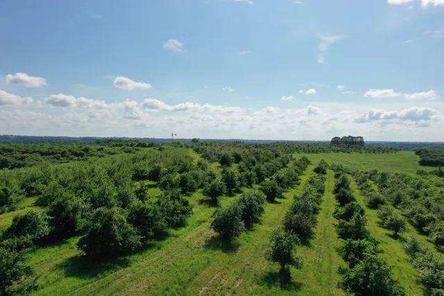 Fruit Acres Apple Orchard