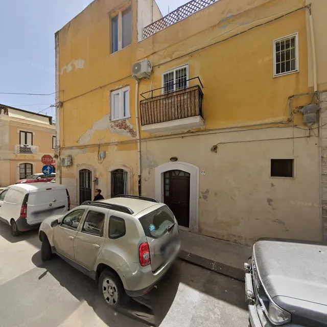 The Ladybug Holiday House