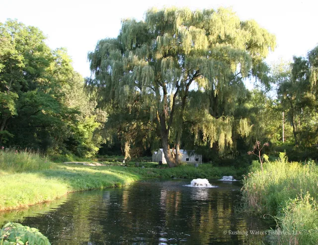 Rushing Waters Fisheries LLC