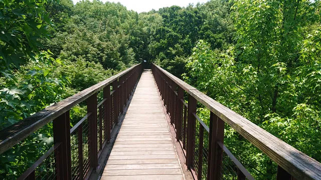 Sorado (Aerial Promenade)