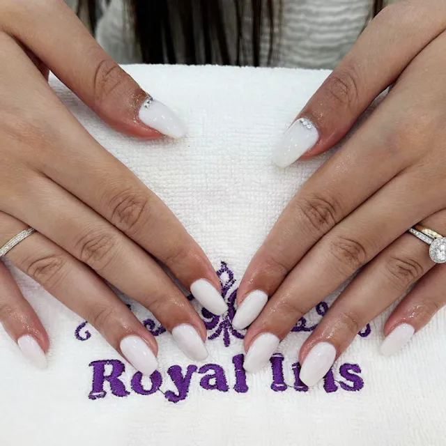 Royal Iris