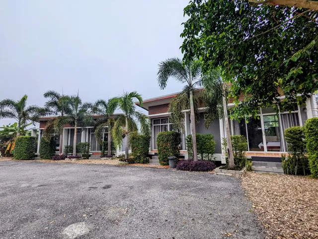 วังผาชาเล่ต์