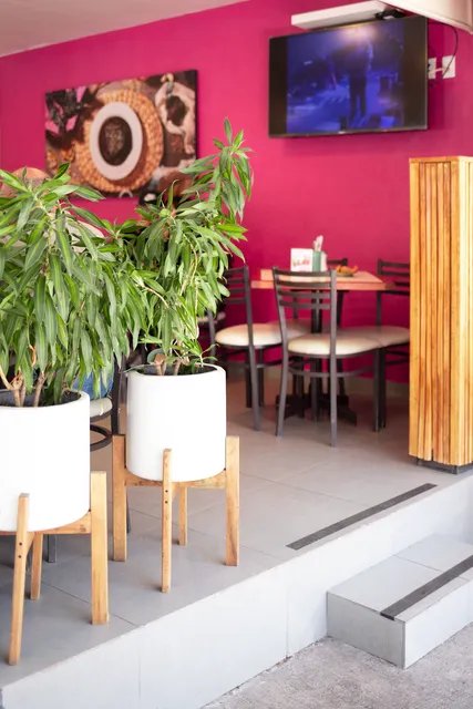 México de Mis Amores