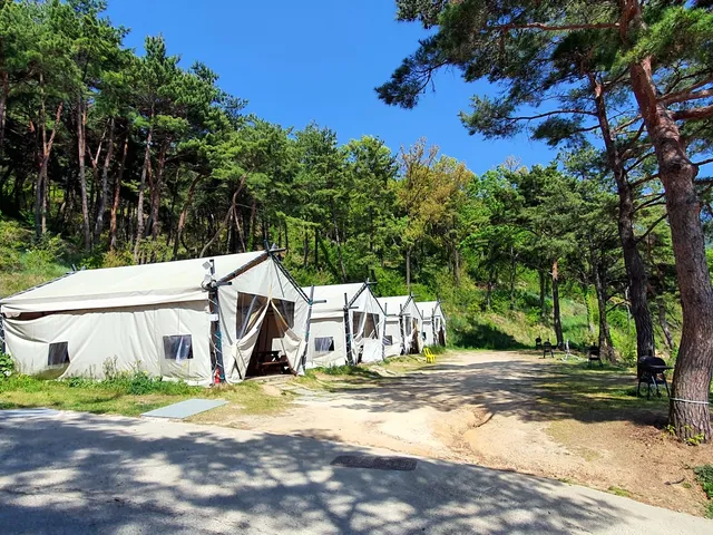 마이웨이리조트