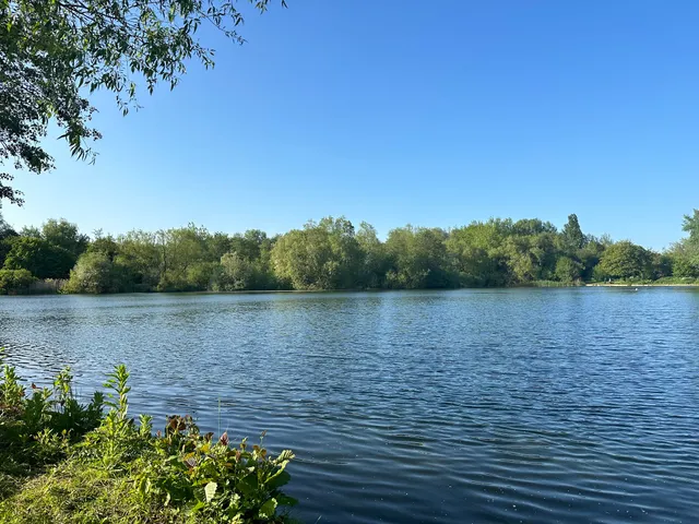 Needham Lake